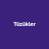 Tüzükler